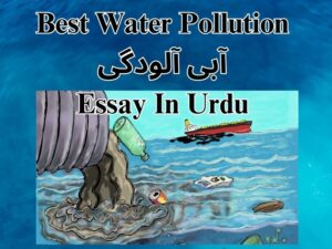 Best Water Pollution آبی آلودگی Essay In Urdu 